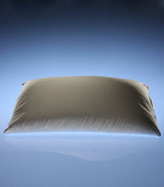 Sobakowa Buckwheat Pillow